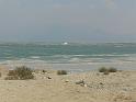 Dead Sea (11)